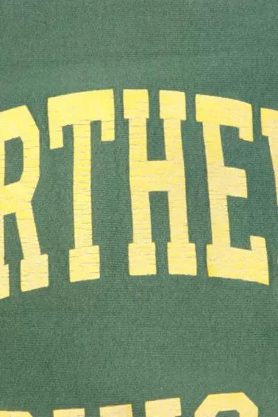 Urban Outfitters Vintage Northern Michigan Sweatshirt 3