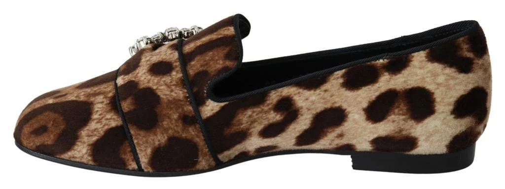 Dolce 
Gabbana Leopard Print Crystal Embellished Women
s Loafers 2