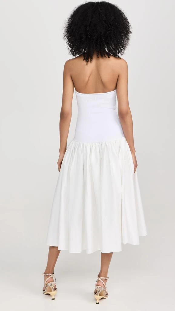 Alexis Kamali Dress 2