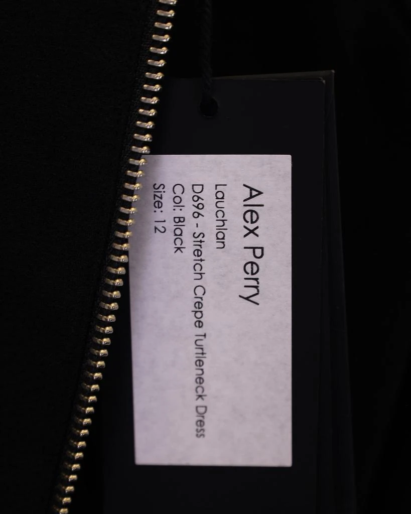 Alex Perry Mock Neck Dress in Black Triacetate 4