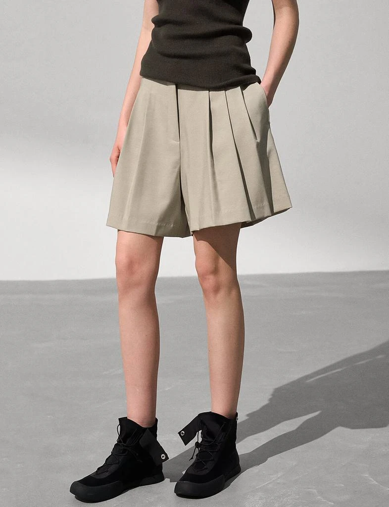 Pixie Market Pleated  Flared Tan Shorts 2