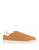 color Camel 1