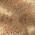 color 9A Light Ash Blonde 1
