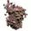 color 20 SILKY CHESTNUT 6