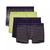 color Ombre Dot/Shadow Lime/Aura/Stripe 1