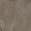color Almond 1