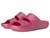 color Dragon Fruit 4
