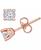 color Rose Gold 1