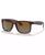 color Transparent Dark Brown 3