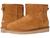 color Chestnut 2