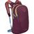 color Moody Burgundy 4