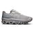 color Grey/Grey 1