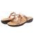 color Champagne Metallic 1