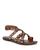 color Brown 2