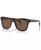 color Dark Havana 1