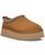 color Chestnut 1