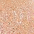 color Nude Shimmer 3