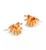 color Orange Glass 1
