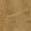color New Khaki 4