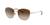 color Gradient Brown 0