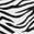 color Zebra 12