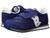 color Cobalt Blue 3