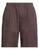 color Chocolate brown 1