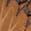 color Chestnut 2