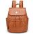 color brown 1