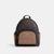 color signature canvas/Gold/Walnut/Tan 1