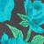 color Teal Combo 0