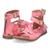 color Pink 1