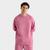 color FN8160-667/Desert Berry/Elemental Pink 2