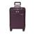 color Plum 3