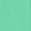 color Green Katydid 4