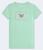 color light green 332 0