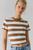 color Brown Stripe 1
