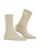 color Cream 3