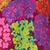 color PURPLE GRD FLORAL 1