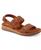 color Brown 2