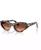 color Brown Tortoise 1