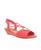 color Rosey Coral 2