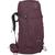 color Elderberry Purple 1