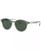 color TRANSPARENT GREY/DARK GREEN 0