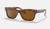 color Polished Striped Havana/B-15 Brown 3