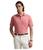 color Desert Rose 4