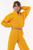 color Gold 6