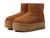 color Chestnut 1