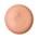 color B20 2