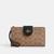 color signature canvas/Gold/Tan/Black 2